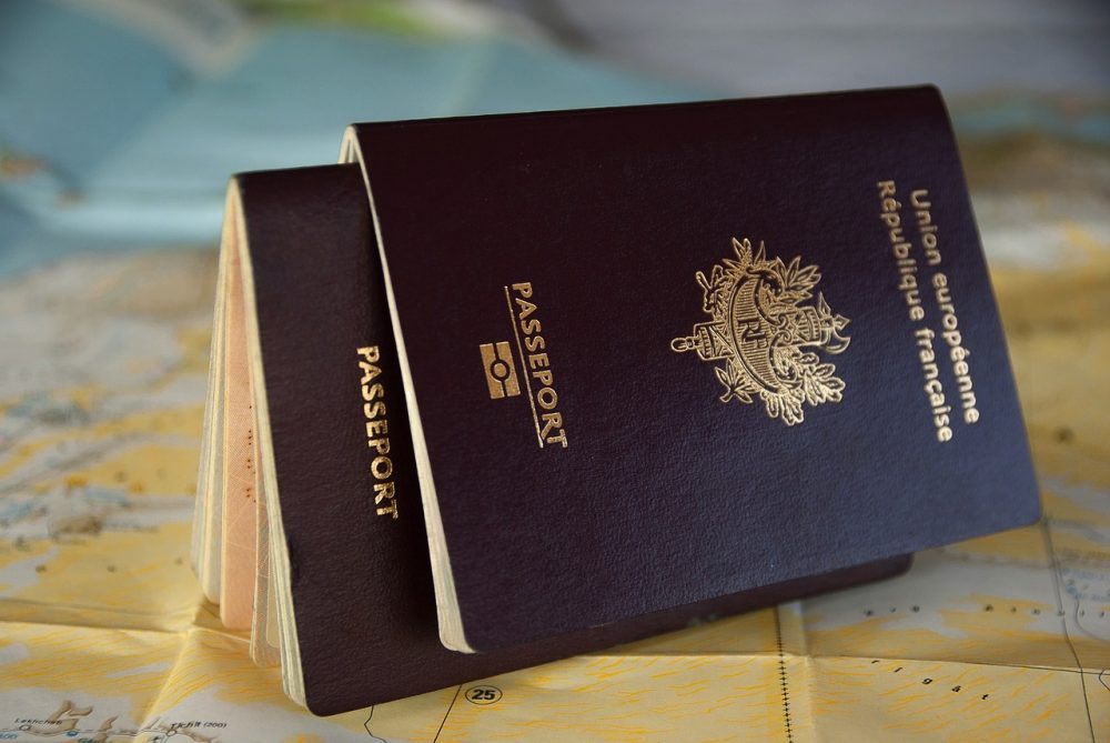 travel passport history